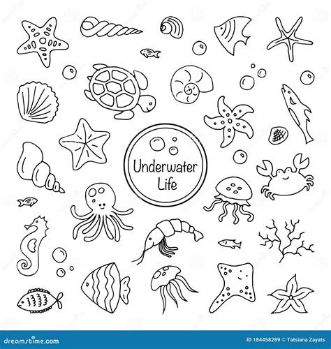 Set Of Sea Underwater Creatures Outline On White Background Hand Drawn