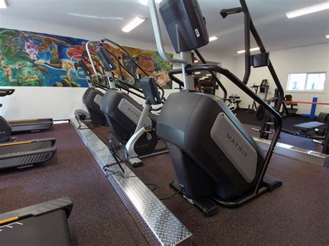 The Truth About Nala Fitness: The Leak Explains All