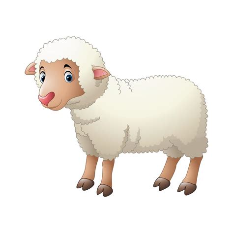 Baby sheep cartoon 10284896 Vector Art at Vecteezy