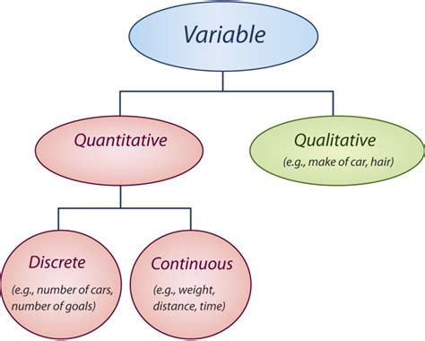Image result for classification of variables in statistics tree vocab ...