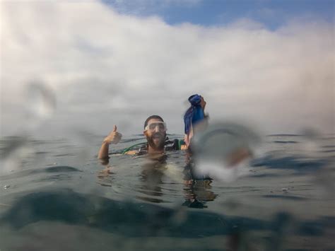 My Th Dive Aka Naked Dive At Shaw S Cove First Church Of The Masochist