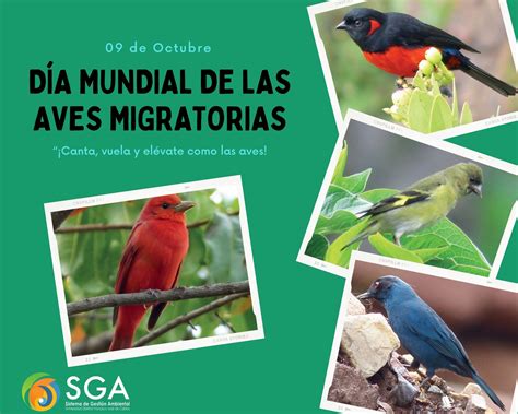 09 de Octubre Día Mundial de las Aves Migratorias Sistema de Gestión