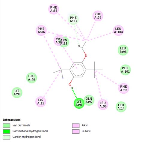 Two Dimensional Interaction Diagram For The Protein Ligand Complex