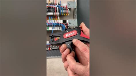 ⚔️WS-22 от EKF -пожалуй лучший стриппер на сегодняшний день 🤔 #стриппер ...