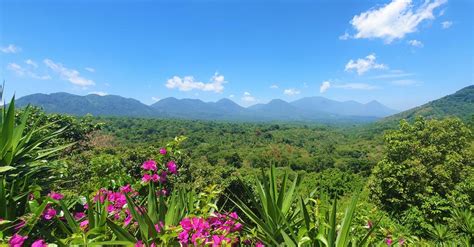 Ruta de Las Flores, Nahuizalco, Ataco, Juayua, Apaneca, Coffe Tour ...