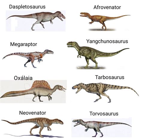 Dinosaurs Theropods Dinosaurios Dinossauros Dinosaur Posters Dinosaur