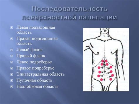 Методы исследования системы пищеварения - презентация онлайн