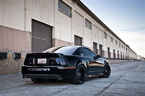 Svt Cobra Wallpapers Wallpaper Cave