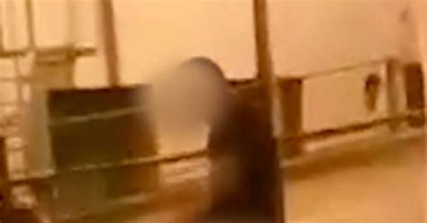 Brazen Couple Spotted Having Sex On Sheep Statue In Middle Of City Centre Could Face Jail Time