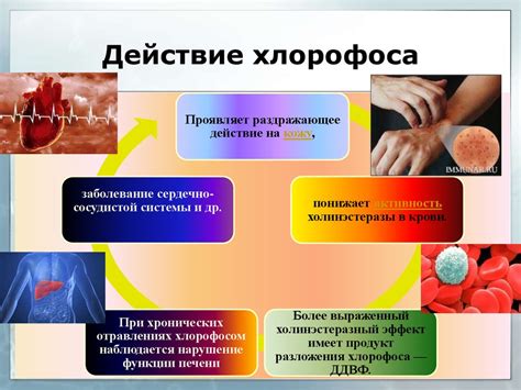 ХТА пестицидов ФОС - презентация онлайн