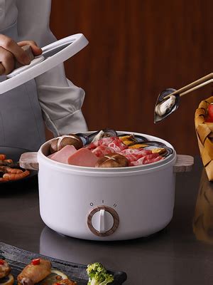 Electric Hot Pot With Steamer L Portable Electric Skillet With Nonstick Coating Dual Power
