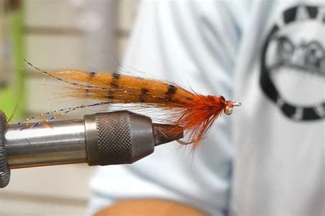 Best Redfish Flies Fly Selection Guide