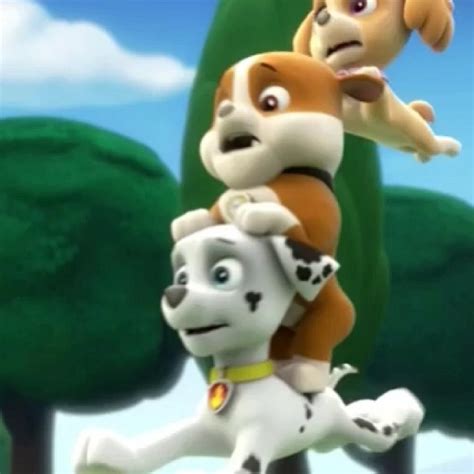 Skyegallerypups Save The Circus Paw Patrol Wiki Fandom