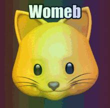 Gato Sexo Cat Sex GatoSexo Gato CatSex Discover Share GIFs