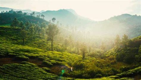 Wayanad Archives Treebo Blog