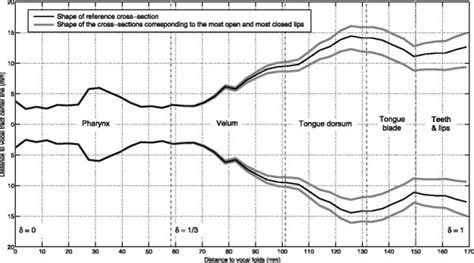 Vocal Tract Shape Shape Of The Cross Section Of The Simulated Vocal