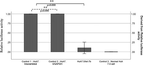 Luciferase reporter assay. In-vitro dual-luciferase reporter assays of ... 