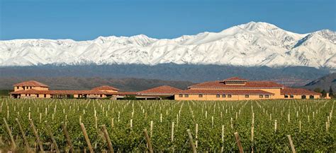 Wine Tourism in Mendoza´s Different Wine Regions | Kahuak