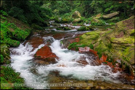 Китай – Чжанцзяцзе (Zhangjiajie) – Золой Хлыст