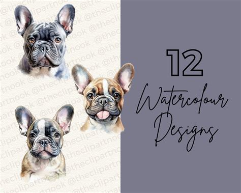 French Bulldog Dog Clipart | Watercolour French Bulldog Clip Art | Clipart Bundle | Watercolour
