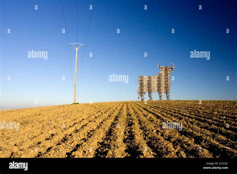 Bull Backwards Hi Res Stock Photography And Images Alamy