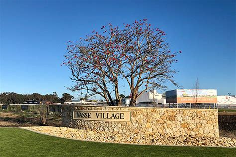 Striking Coral Trees Find New Home Sustainability At Vasse Estate