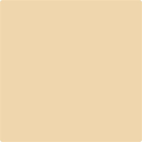 192 Key West Ivory by Benjamin Moore | The Color House