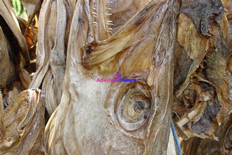 Stockfish: Nutritional value of adding stockfish to your dishes - AdedejiOfAkure Media