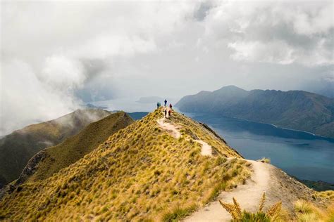 The Best Hikes In New Zealand Things To Do In New Zealand In 2021