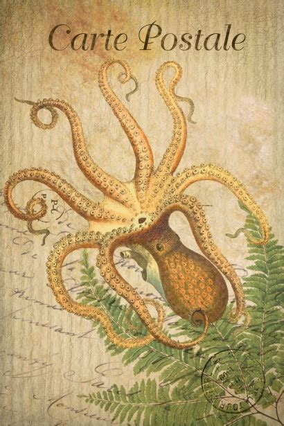 Vintage Art Postcard Octopus Free Stock Photo Public Domain Pictures