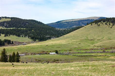 Homestead Montana Little Belt Elk Ranch Fay Ranches