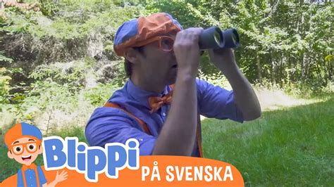 Blippi Svenska Bes Ker En Campingplats Pedagogiska Videor F R Barn