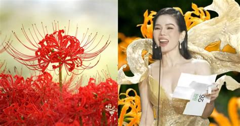 Trend hoa bỉ ngạn hot rần rần mạng xã hội bắt nguồn từ đâu Netizen tò mò danh tính người khơi