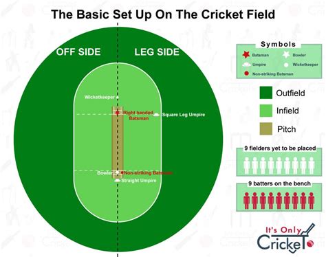 Cricket Fielding Positions Explained A Simple Guide Its Only Cricket