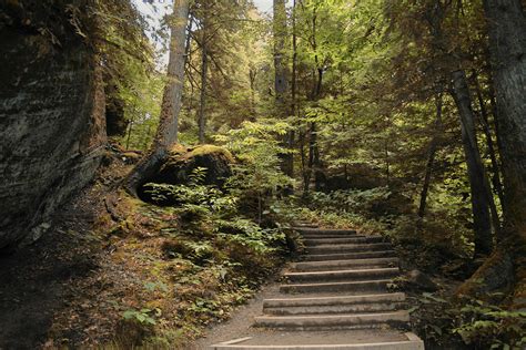 nature trail steps photograph  richard gregurich fine art america