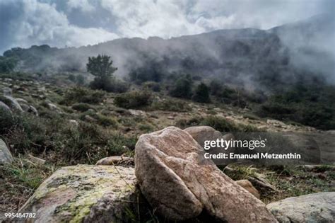 61 Fog Patches Stock Photos, High-Res Pictures, and Images - Getty Images