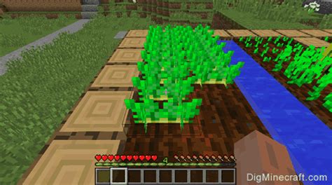 How To Make A Poisonous Potato In Minecraft