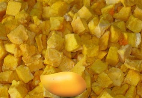 Mango Slices At Best Price In Raipur Vatika Foods
