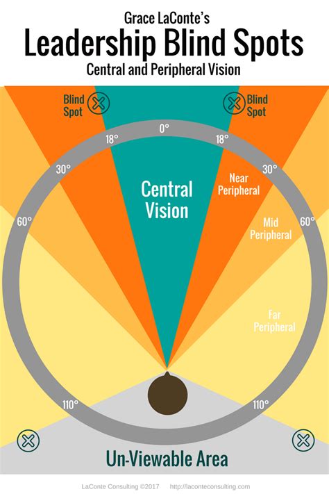 Leadership Blind Spots Central And Peripheral Vision Laconte Consulting