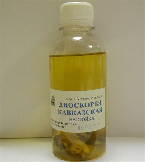 Диоскорея кавказская: описание, рецепты, показания, лечебные свойства и ...