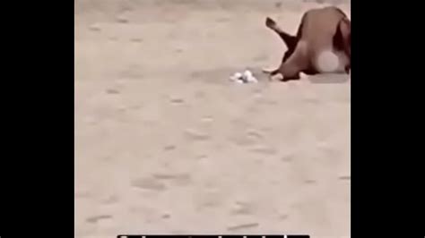 No La Playa De Meco XVIDEOS