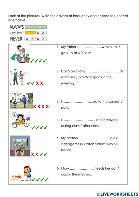 Always sometimes never online activity | Worksheets, Adverbs