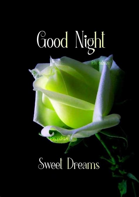 Good Night Sweet Dreams Yellow Rose