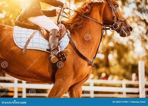 A Beautiful Sorrel Horse With A Rider In The Saddle Gallops Quickly