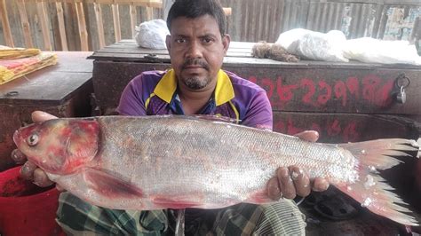 Amazing Big Silber Carp Fish Cutting Skills In Village Fish Market