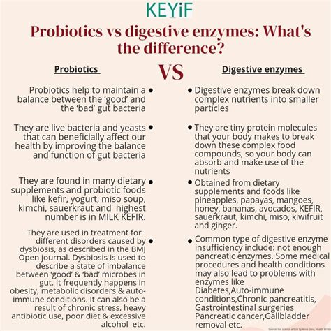 Probiotics Vs Digestive Enzymes Whats The Difference