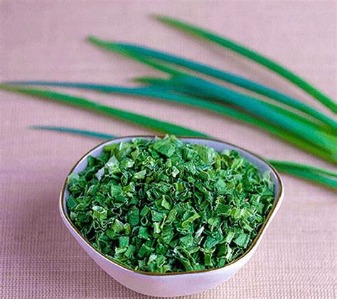 100 Pure Green Onions For Food Spices At Best Price In Ben Luc Kim