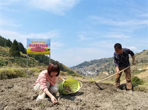 新福建 柘荣全面整治撂荒地 复耕复垦变良田 宁德网