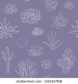 Succulent Cactus Collection Agava Pita Aloe Stock Vector Royalty Free