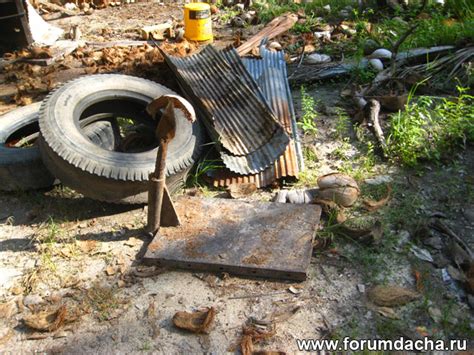 Фрукты Тайланда